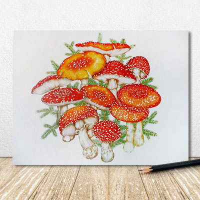 Mushroom painting - Amanita Muscaria, the drink of the gods